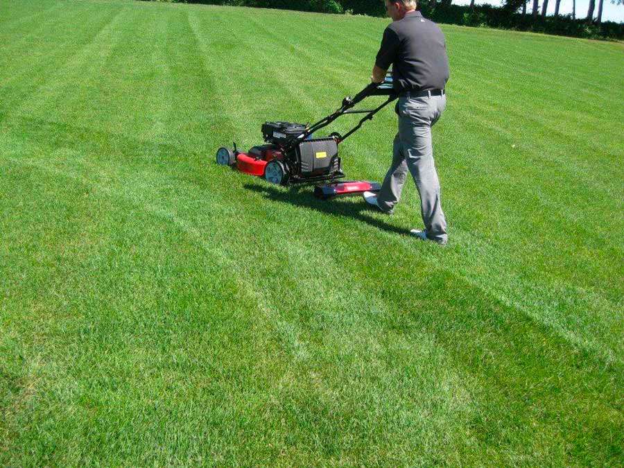 Lawn Stryper Grass Cutting stripes for push mower